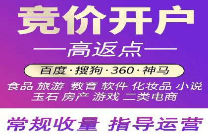 行业领先企业的SEM竞价代运营案例解析